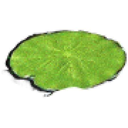 a small lily pad you can click on to go to mexicolore.co.uk.