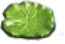 a small lily pad you can click on to go to theoldnet.com.